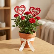 gjenstander Blomsterplugg hjerte rød pynteplugg i tre Love 7cm 12stk