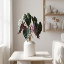 gjenstander Alocasia pil bladgrønn, fiolett kunstplante H48cm