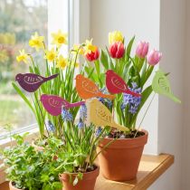 gjenstander Vårdekor blomsterplugg trefugldekor 28cm 18 stk
