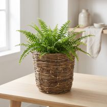 gjenstander Plantekurv med slyngplantelignende design, dekorativ for blomsterpotter og borddekorasjoner