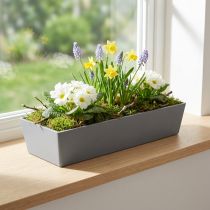 gjenstander Allsidig grå plantepotte i plast – rektangulær, 37 cm – ideell for innendørs og utendørs hagearbeid