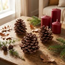 gjenstander Store naturlige pinjekongler 8–9 cm – 3 stk