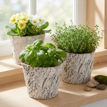 gjenstander Blomsterpotte med barkutseende, ideell for rustikk interiørdesign og plantedekorasjon, 12 cm, 4 deler