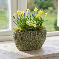 gjenstander Plantekasse betong oval antikk utseende grønn, brun 24×14×13cm