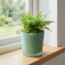 gjenstander Blomsterpotte i glass grønn plantekasse glassbalje Ø11,5cm H11cm