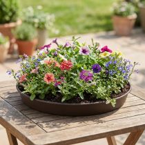 gjenstander Plantering "Rondino" Ø35-55cm, 1stk