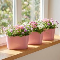 gjenstander Planteskål oval rosa pynteskål plast 20×10×11cm 3stk