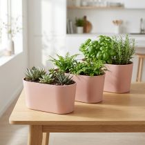 gjenstander Planteskål oval pynteskål plast rosa brun 20×10×11cm 3stk