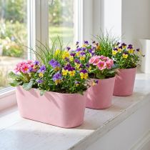 gjenstander Plantebåt planteskål oval rosa 27×11×10cm 3stk