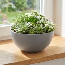 gjenstander Blomsterpotte av plast, blomsterskål, grå, Ø25 cm, H12 cm