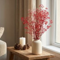 gjenstander Gypsophila Gypsophila Tørkede Blomster Rød 50cm 55g