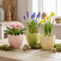 gjenstander Eggformet blomsterpotte med brutt kant for kreativ plassering i vinduskarmer og på bord, 9 cm, 3 stk.