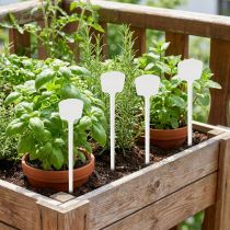 gjenstander Planteetikett 32cm 10stk.
