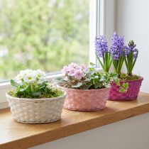 gjenstander Sponkurv rund lilla/hvit/rosa Ø25cm 6 stk