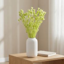 gjenstander Tørkede Nigella-blomster, sjarmerende naturlig romdekorasjon til hjemmet, 70 cm, 50 g