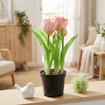 gjenstander Kunstige blomster i potte Kunstige tulipaner Rosa Gul 22,5cm