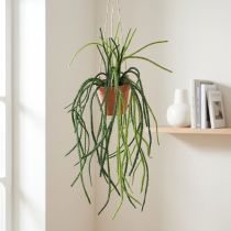 gjenstander Rhipsalis kunstig korallkaktus hengende kurv H87cm