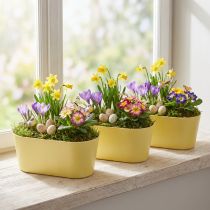 gjenstander Planteskål oval pynteskål plast gul 27×11×10cm 3stk
