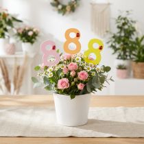 gjenstander Jubileumsnummer "8" fargerik tallplugg tre 7,5cm 16 stk