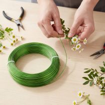 gjenstander Aluminiumstråd Ø2mm Mai grønn 60m 500g Dekortråd Smykketråd Hobbytråd