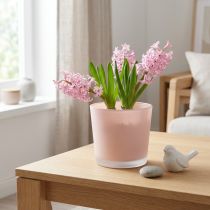 gjenstander Blomsterpotte glass plantekasse rosa glassbalje Ø11,5cm H11cm