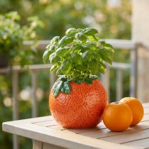 gjenstander Middelhavs dekorativ oransje vase blomsterpotte keramikk Ø9cm