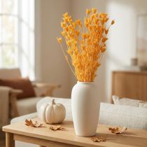 gjenstander Tørket Nigella-blomsterarrangement for langvarig bruk. Elegant blikkfang. 70 cm 50 g