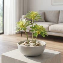 gjenstander Sukkulent kunstig plante med plukke Aeonium Green 30cm 4 stk