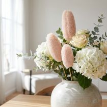 gjenstander Stor loofah på pinne, bleket, 25 stk