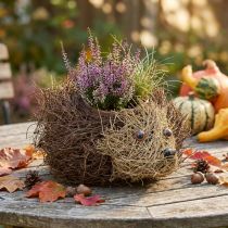 gjenstander Pinnsvinplantekasse laget av slyngplanter 22 cm x 25 cm