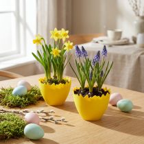 gjenstander Eggekopper Ø17cm 20 stk gule