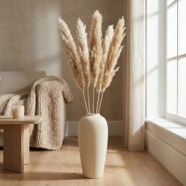 gjenstander Tørr dekorasjon pampas gress tørket bleket 70-75cm 6 stk