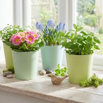 gjenstander Papirpotte, cachepot, plantekasse blå/grønn Ø11cm H10cm 4stk