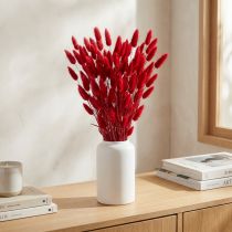 gjenstander Kaninhalegress (Lagurus) Tørket rødt 60 cm 50 g tørket blomsterdekorasjon
