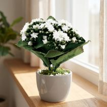 gjenstander Kunstig Kalanchoe Flaming Käthchen Hvit 24cm