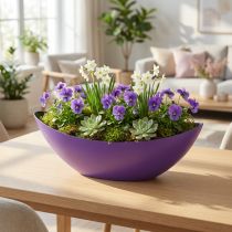 gjenstander Plantebåt dekorativ bolle lilla 38,5cm×12,5cm×13cm