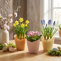 gjenstander Plantekar papir vevd vanilje, oransje, rosa Ø7cm H13cm 12 stk