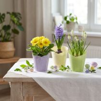 gjenstander Plantekrukke vevd plantepapir grønn, gul, lilla Ø7cm H13cm 12stk