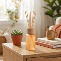 gjenstander Romduft diffuser glass ingefær Camila duftpinner 100ml