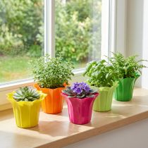 gjenstander Plantekar for potteplanter, fargerikt assortert. Ø10,5cm 10 stk