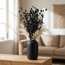 gjenstander Tørkede blomster Svart Tørrtistel Jordbærtistel 100g