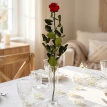 gjenstander Infinity Rose med blader bevart Amorosa Red L54cm