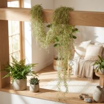 gjenstander Tillandsia dekorativ hengende Tillandsia kunstgrønn hvit 180cm