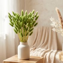 gjenstander Kaninhalegress prydgress Lagurus olivengrønn L65cm 50g