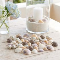 gjenstander Skallpynt mini cockles sneglehus 1-3cm 340g