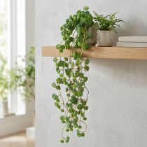 gjenstander Echeveria kunstige hengeplanter i grønt B12cm L50cm