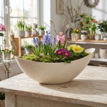 gjenstander Plastplantekasse, blomsterpotte, beige, 28 × 9 × 9 cm