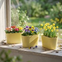 gjenstander Planteskål oval gul dekorativ skål plast 20×10×11 cm 3 stk