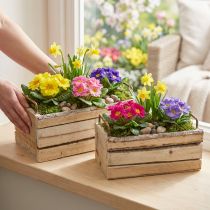 gjenstander Plantekar Trebark Naturhåndtak L29cm/23cm Sett 2stk