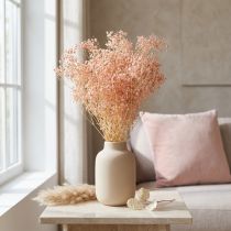 gjenstander Gypsophila Dekorasjon Oransje Tørket Gress Fersken 65-70cm 100g